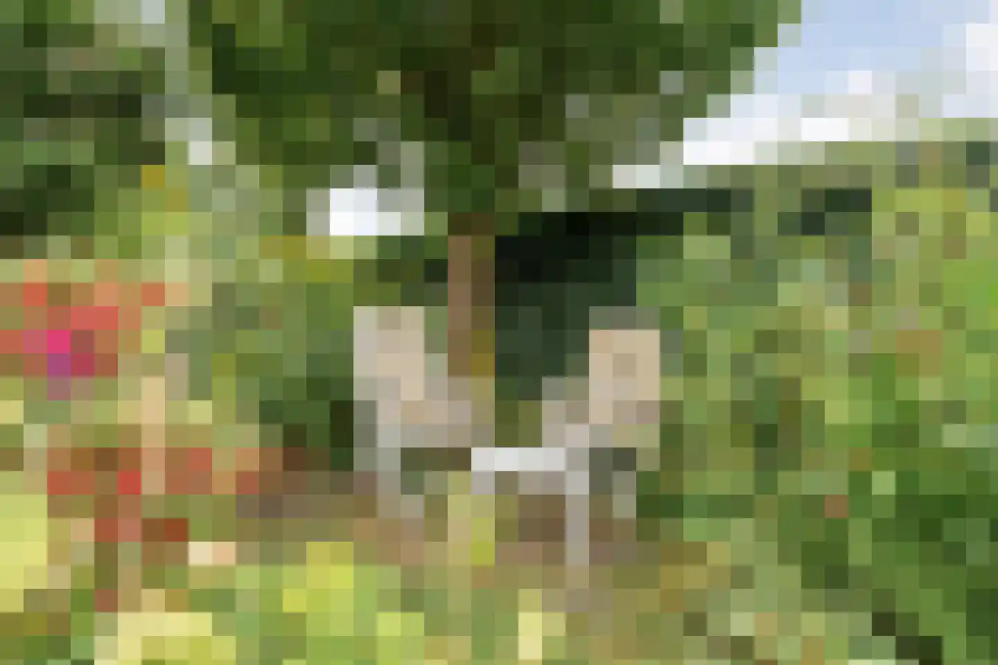 Hoofdvaart 48 Dedemsvaart thumbnail 57