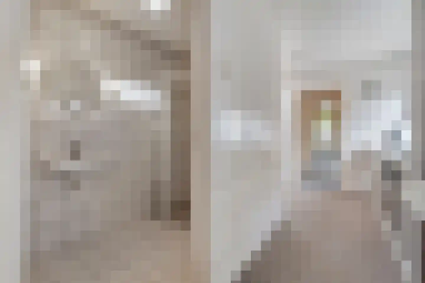 Hoofdvaart 52 Dedemsvaart thumbnail 18