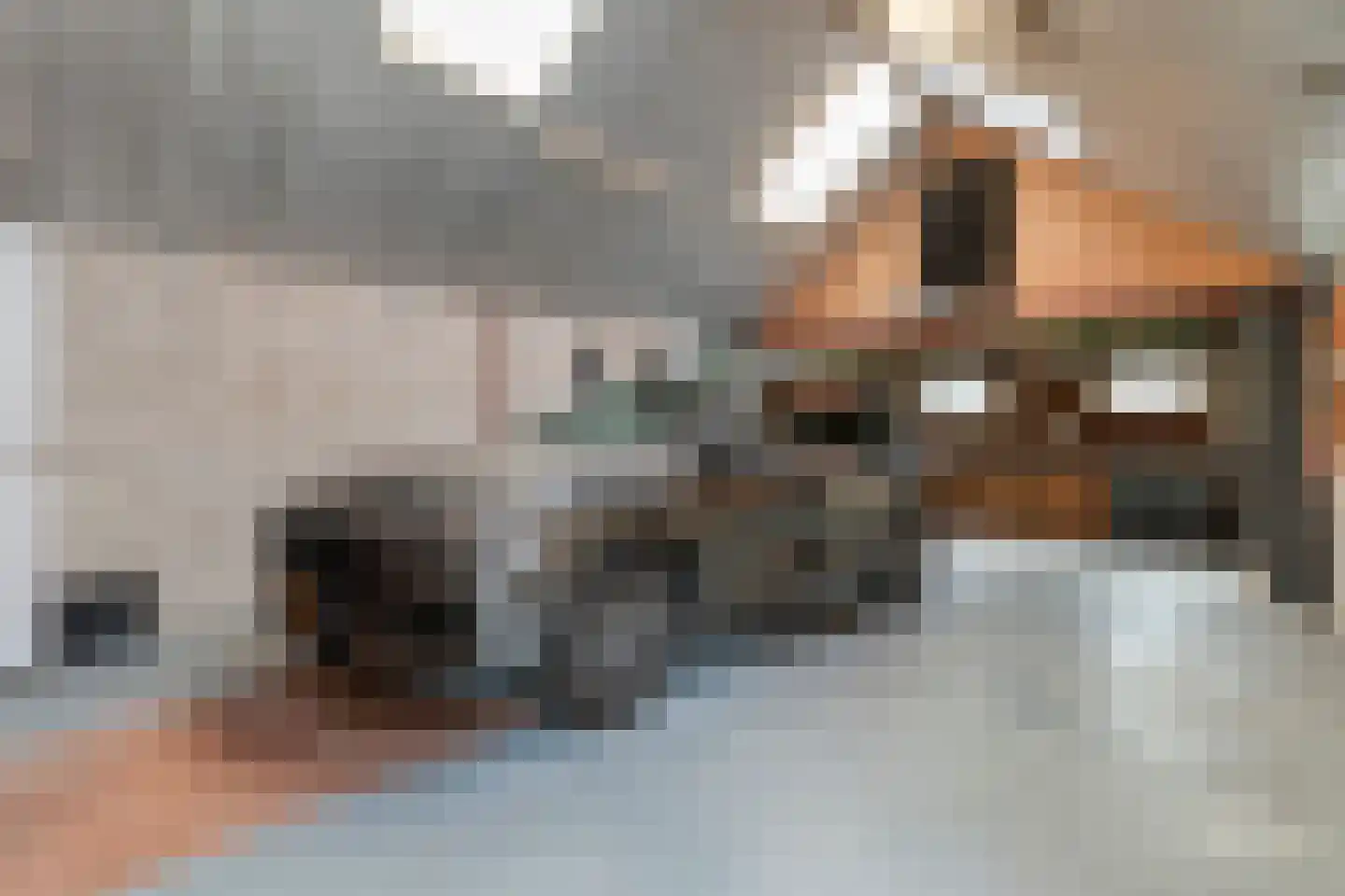 Hoofdvaart 52 Dedemsvaart thumbnail 26