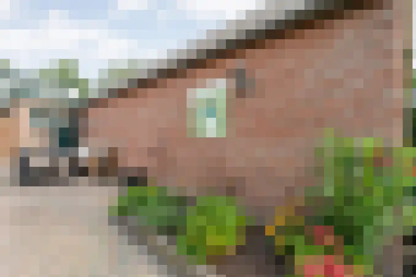 Hoofdvaart 52 Dedemsvaart thumbnail 41