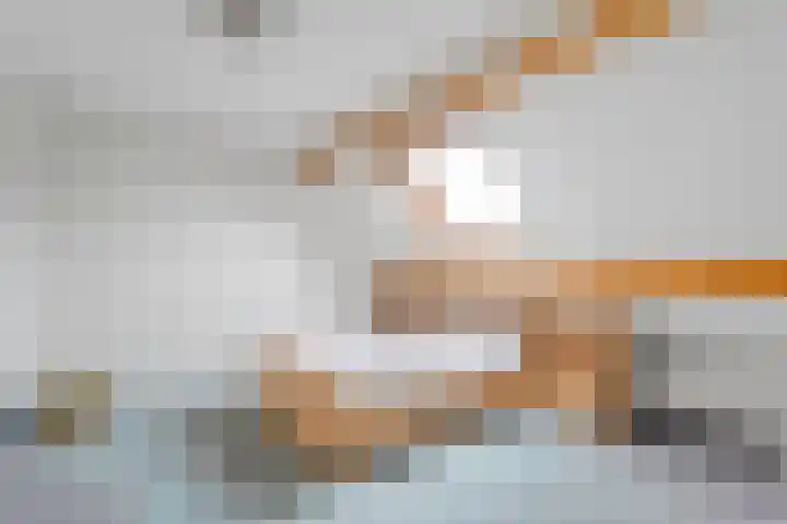 Hoofdvaart 71 Dedemsvaart thumbnail 16