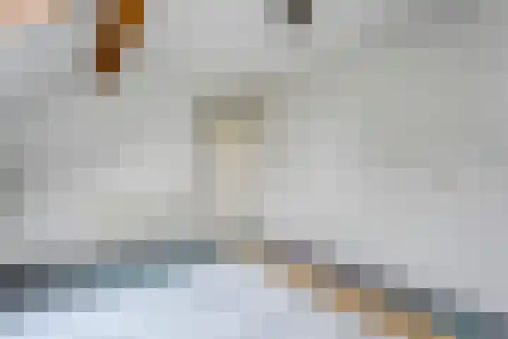 Hoofdvaart 71 Dedemsvaart thumbnail 17
