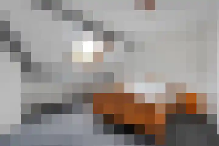 Hoofdvaart 71 Dedemsvaart thumbnail 18