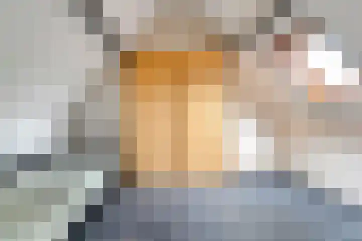 Hoofdvaart 71 Dedemsvaart thumbnail 22