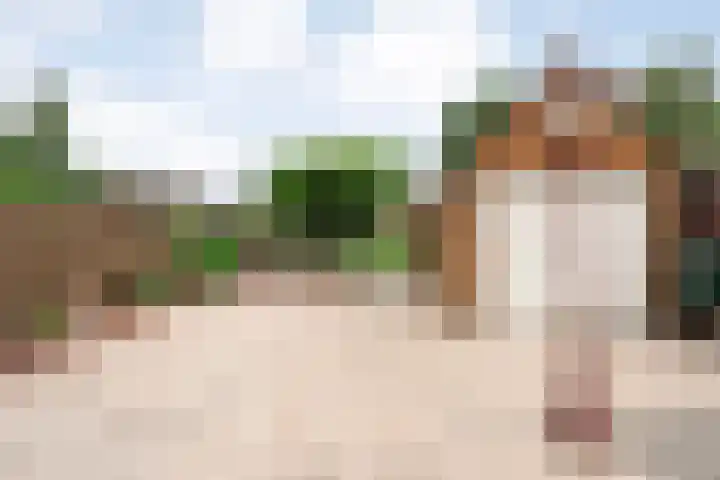 Hoofdvaart 71 Dedemsvaart thumbnail 25
