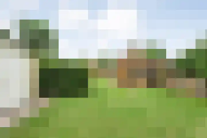 Hoofdvaart 71 Dedemsvaart thumbnail 26