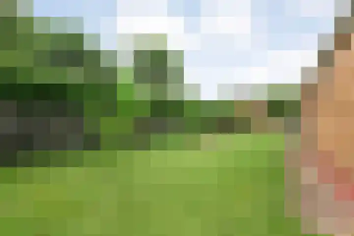 Hoofdvaart 71 Dedemsvaart thumbnail 27