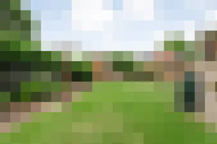Hoofdvaart 71 Dedemsvaart thumbnail 28