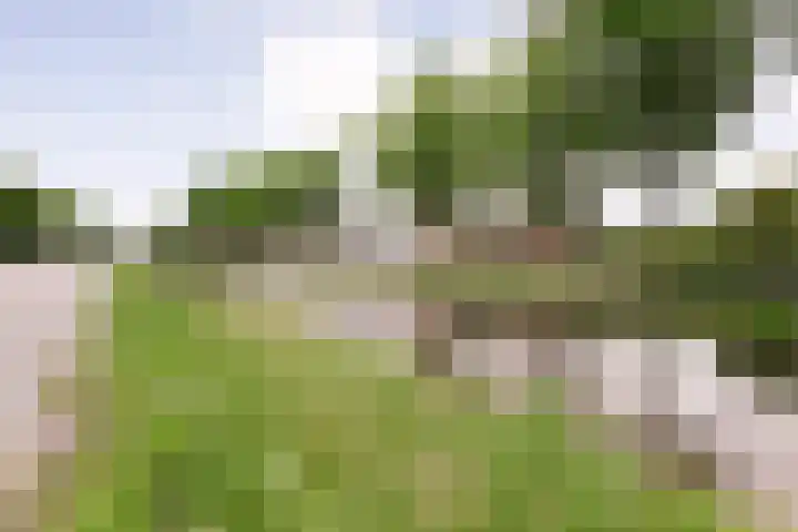 Hoofdvaart 71 Dedemsvaart thumbnail 30