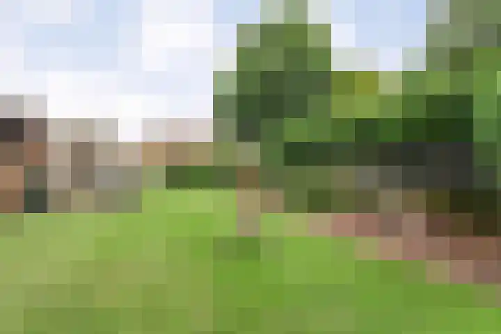 Hoofdvaart 71 Dedemsvaart thumbnail 4