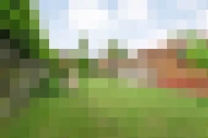 Hoofdvaart 71 Dedemsvaart thumbnail 5
