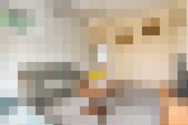 Hoofdvaart 71 Dedemsvaart thumbnail 7