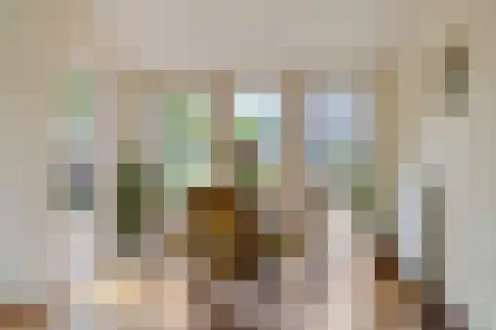 Hoofdvaartsweg 190 Assen thumbnail 10