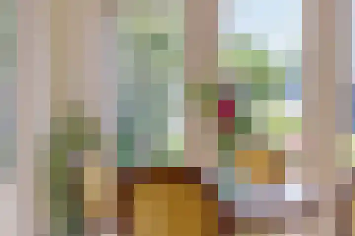 Hoofdvaartsweg 190 Assen thumbnail 11
