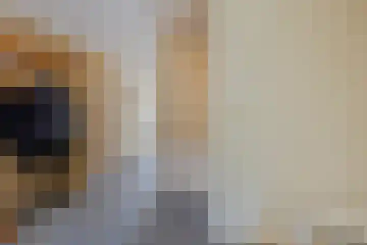 Hoofdvaartsweg 190 Assen thumbnail 17