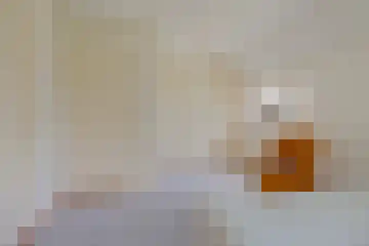 Hoofdvaartsweg 190 Assen thumbnail 20