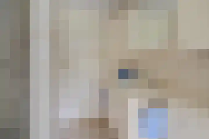 Hoofdvaartsweg 190 Assen thumbnail 23