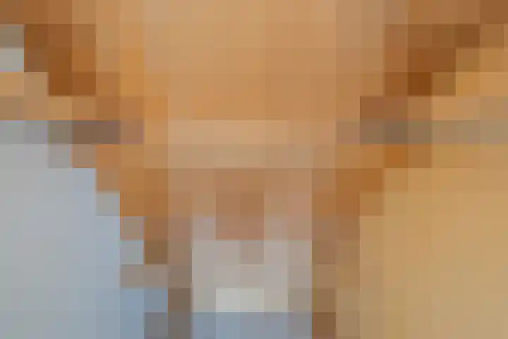 Hoofdvaartsweg 190 Assen thumbnail 30