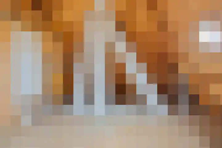 Hoofdvaartsweg 190 Assen thumbnail 33