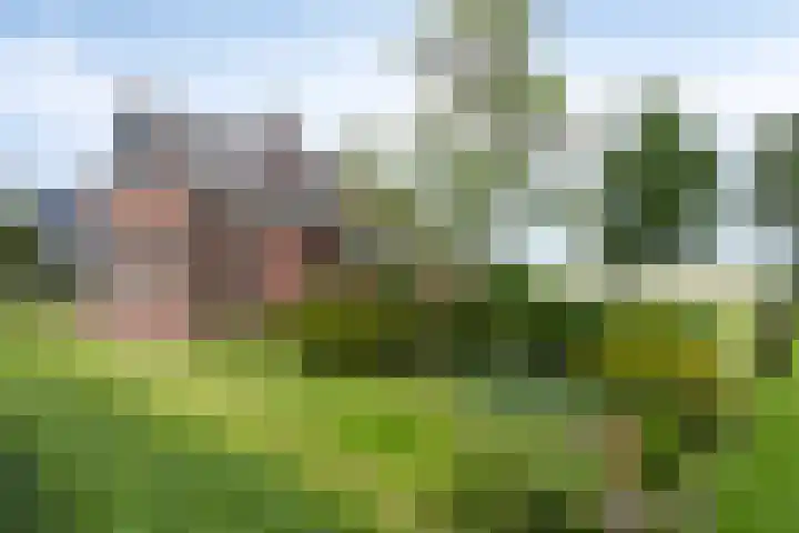 Hoofdvaartsweg 190 Assen thumbnail 4