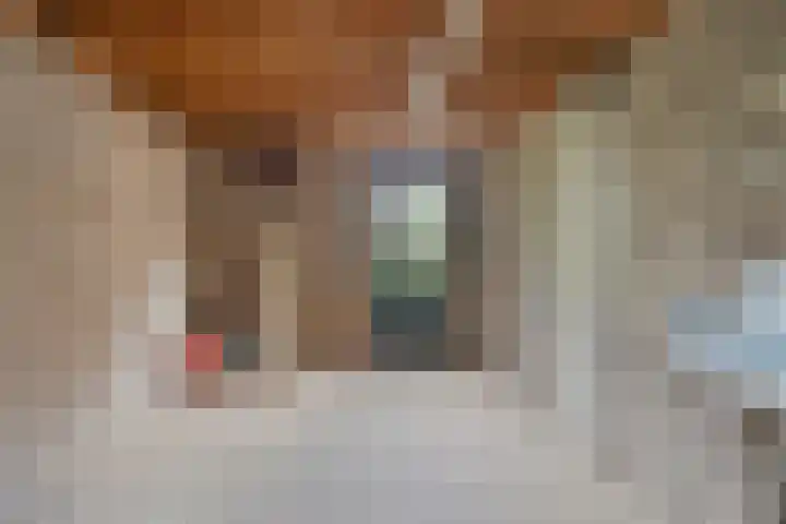 Hoofdvaartsweg 190 Assen thumbnail 41