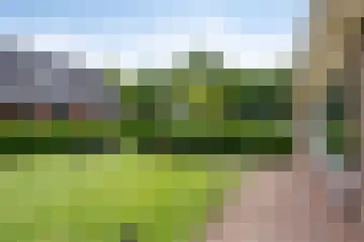 Hoofdvaartsweg 190 Assen thumbnail 48