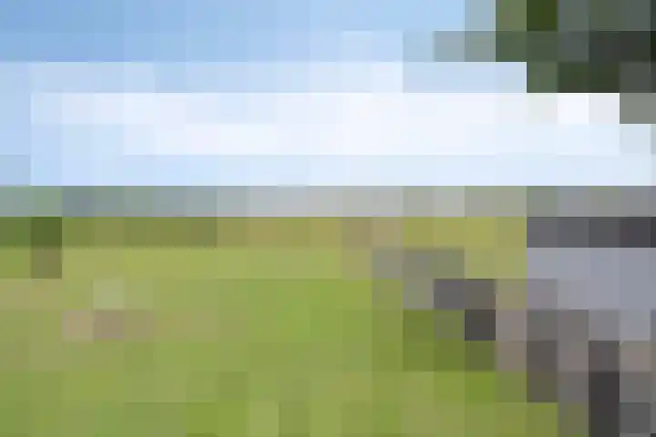 Hoofdvaartsweg 190 Assen thumbnail 49