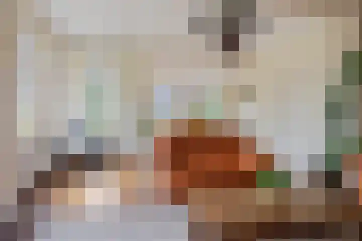 Hoofdvaartsweg 190 Assen thumbnail 5
