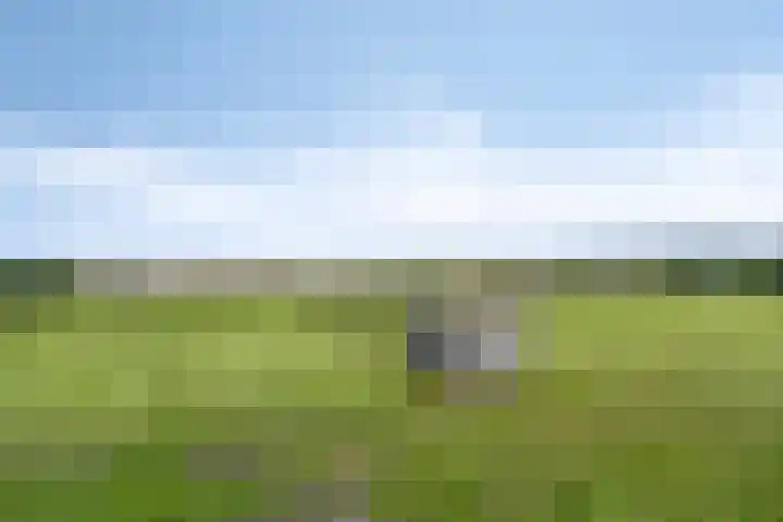 Hoofdvaartsweg 190 Assen thumbnail 50