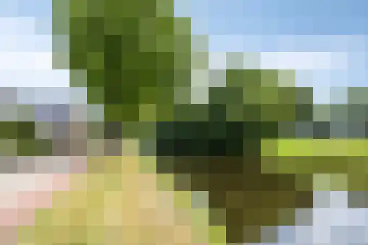 Hoofdvaartsweg 190 Assen thumbnail 55