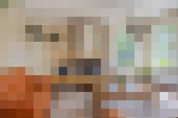 Hoofdvaartsweg 190 Assen thumbnail 8