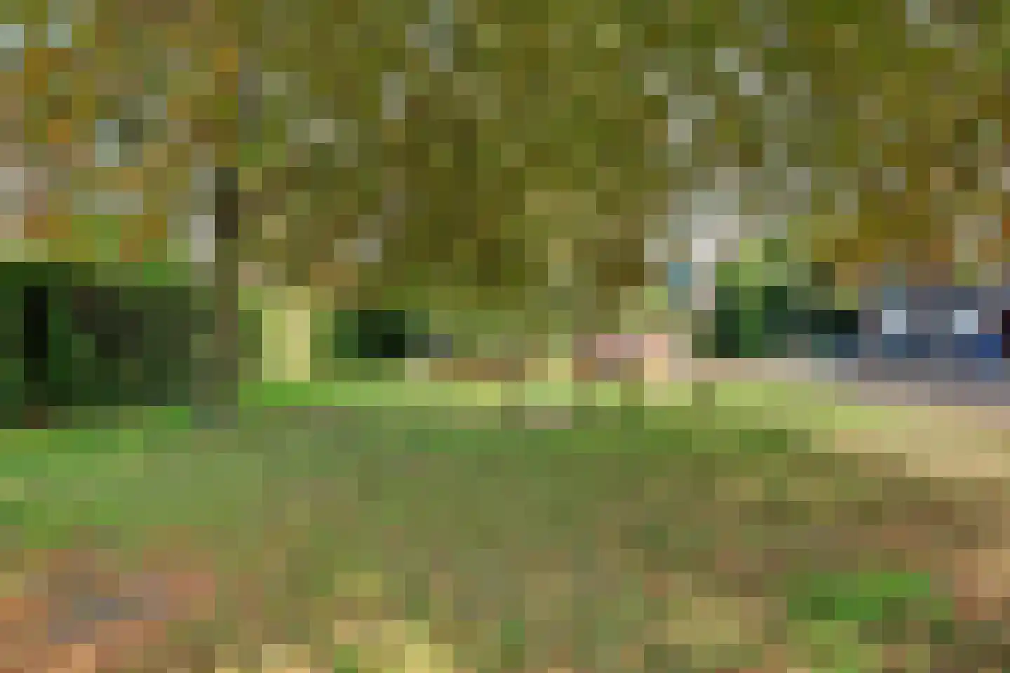 Hoofdwal 107 Gorinchem thumbnail 46