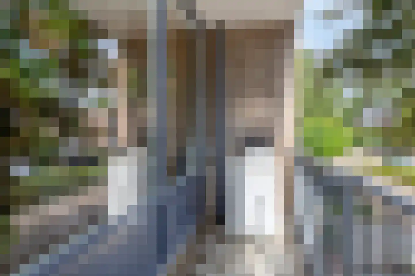 Hoofdwal 23 Gorinchem thumbnail 15