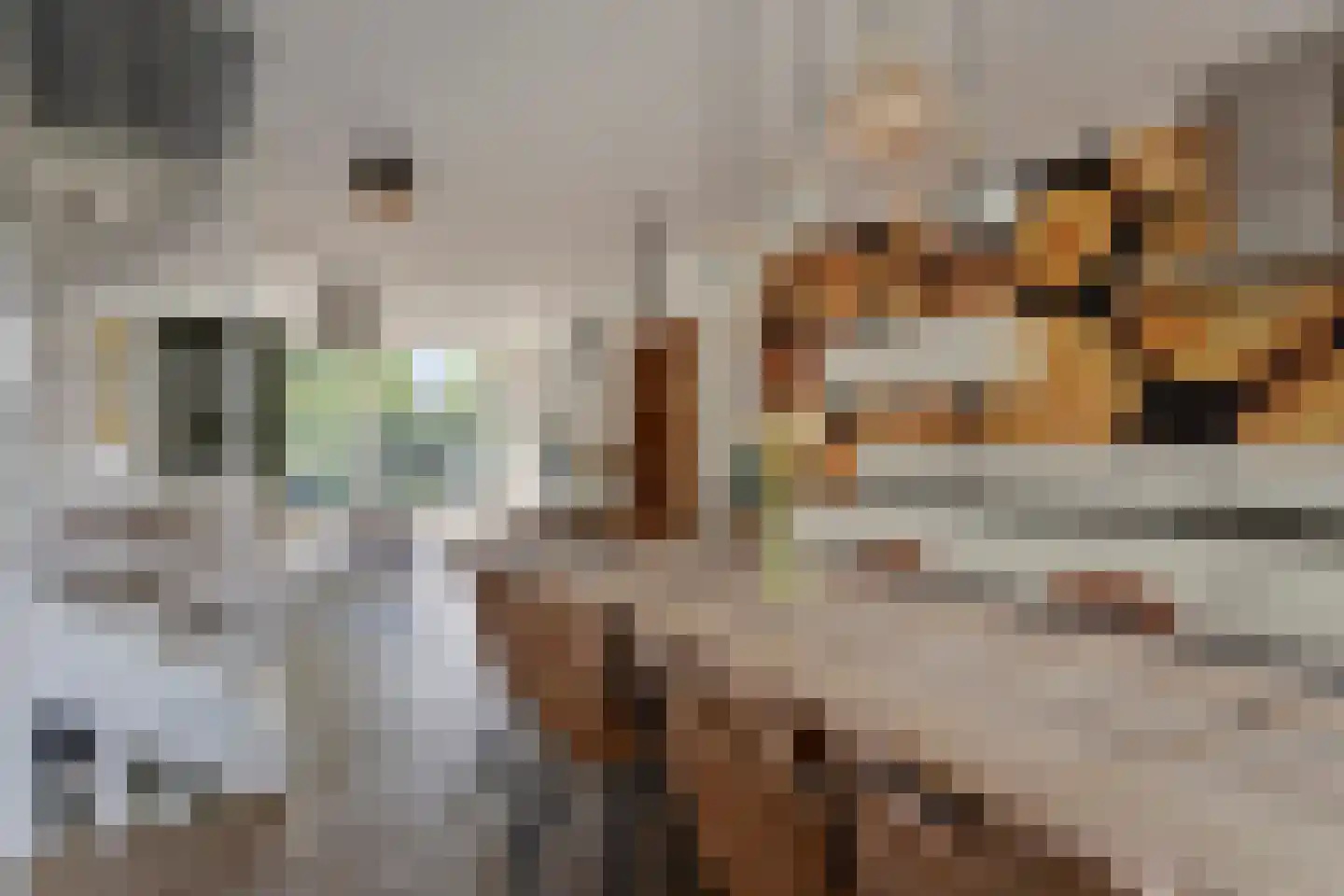 Hoofdwal 25 Gorinchem thumbnail 7