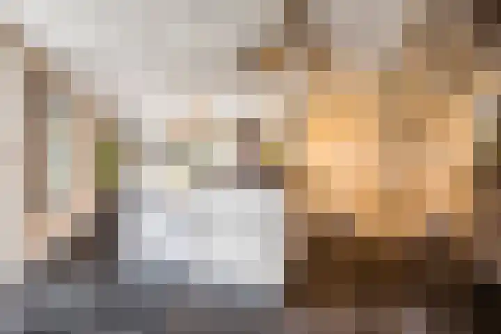 Hoofdwal 3 Gorinchem thumbnail 13