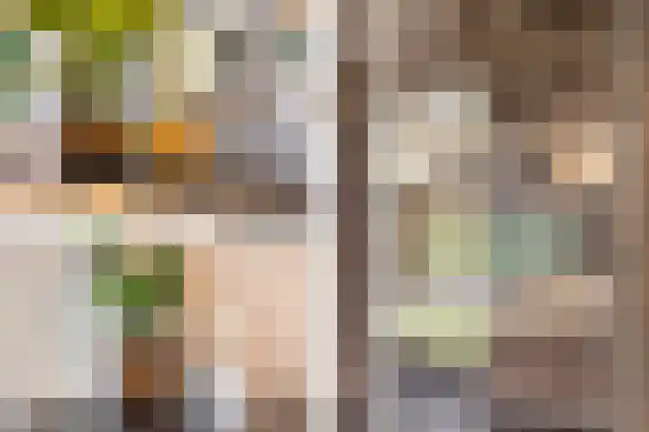 Hoofdwal 3 Gorinchem thumbnail 15