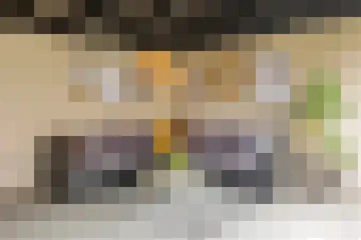 Hoofdwal 3 Gorinchem thumbnail 19