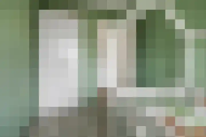 Hoofdwal 3 Gorinchem thumbnail 29