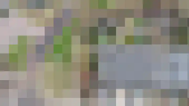 Hoofdwal 3 Gorinchem thumbnail 31