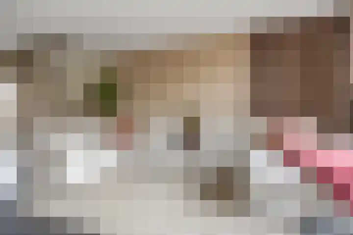 Hoofdwal 3 Gorinchem thumbnail 6