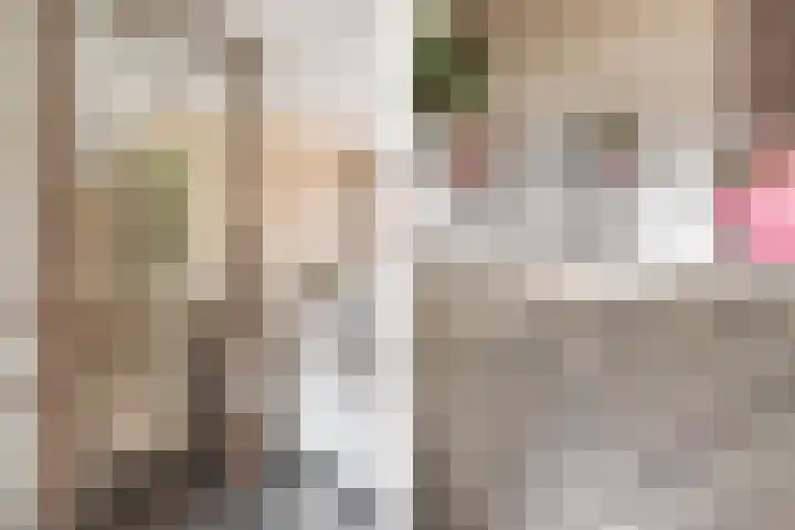 Hoofdwal 3 Gorinchem thumbnail 7