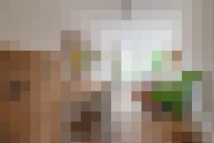 Hoofdwal 7 Gorinchem thumbnail 13