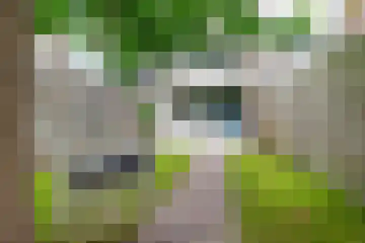 Hoofdwal 7 Gorinchem thumbnail 20