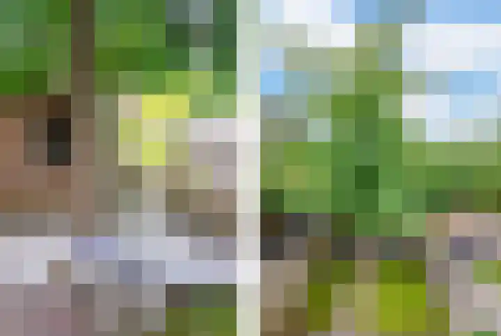 Hoofdwal 7 Gorinchem thumbnail 22