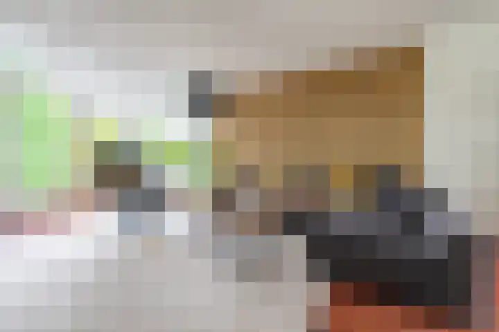 Hoofdwal 7 Gorinchem thumbnail 4