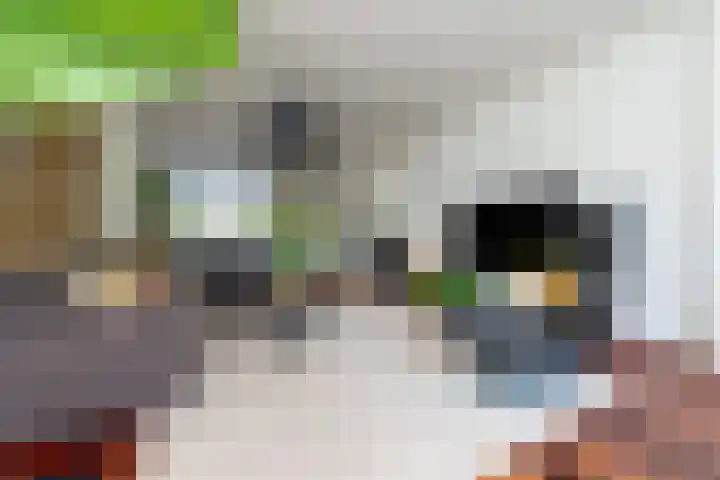 Hoofdwal 7 Gorinchem thumbnail 6