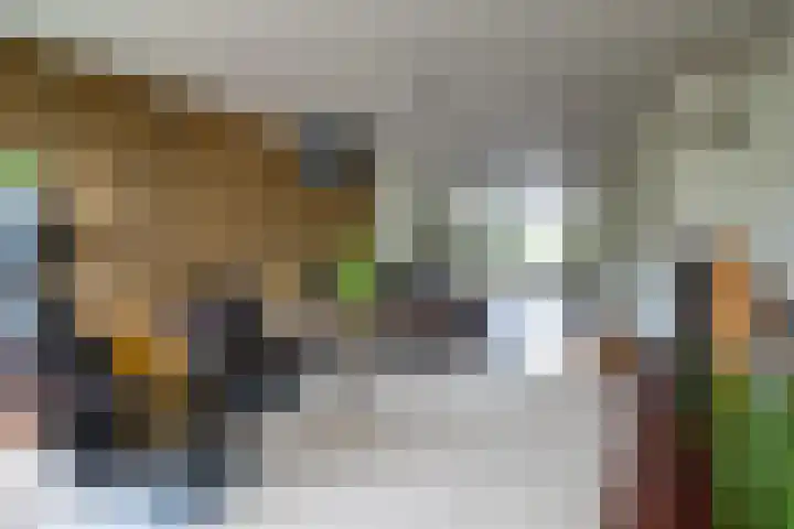 Hoofdwal 7 Gorinchem thumbnail 7