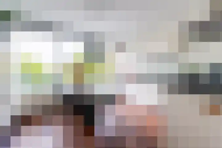 Hoofdwal 7 Gorinchem thumbnail 8