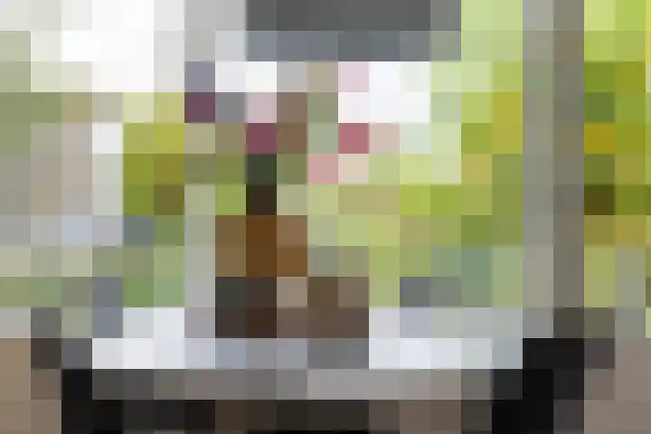 Hoofdwal 7 Gorinchem thumbnail 9