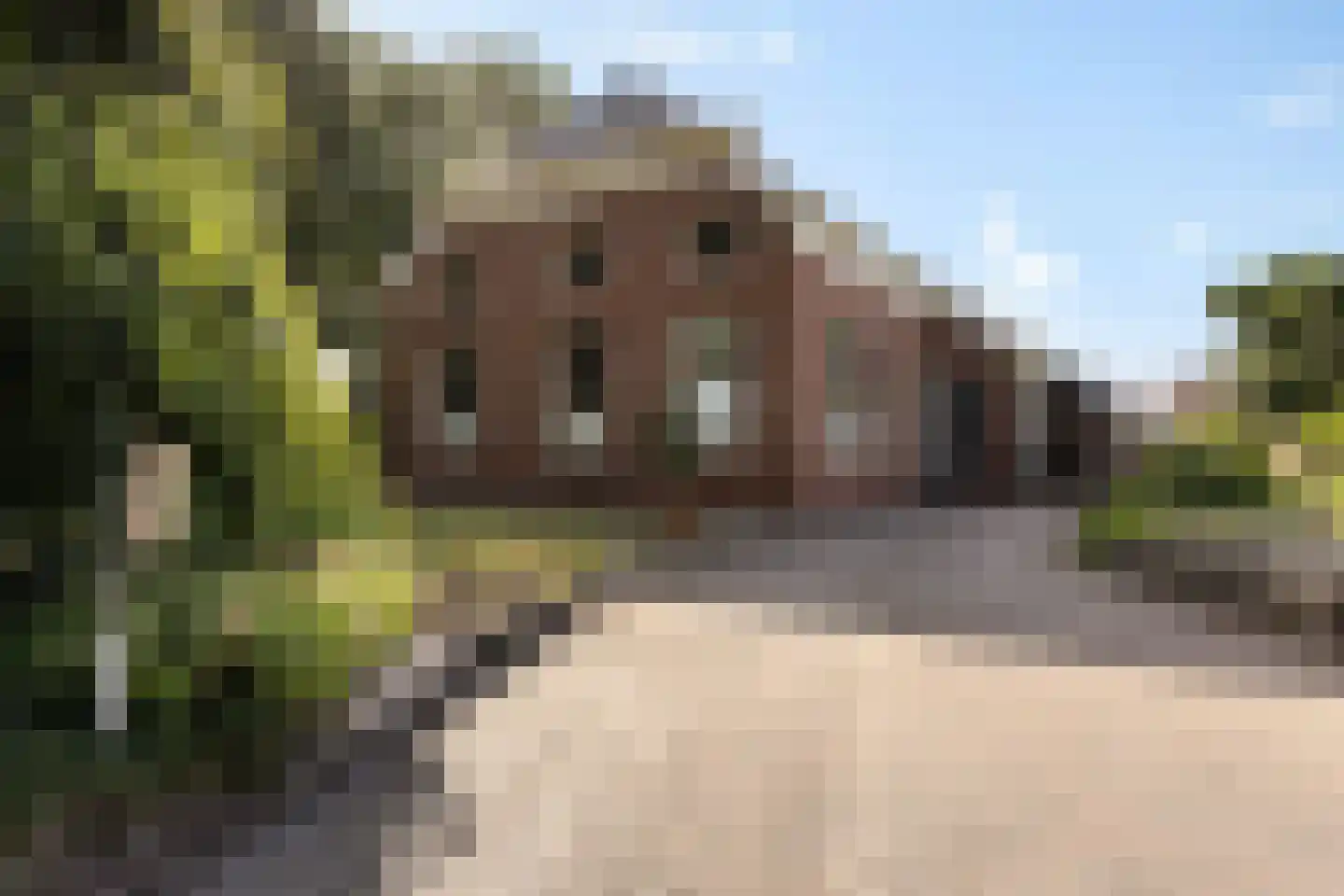 Hoofdweg 10 Kolham foto 2